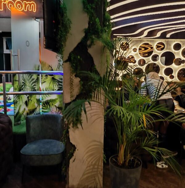 photo_2025-02-11_14-58-56