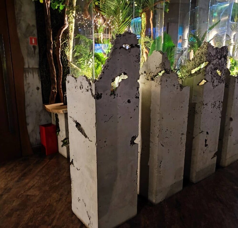 photo_2025-02-11_14-58-58