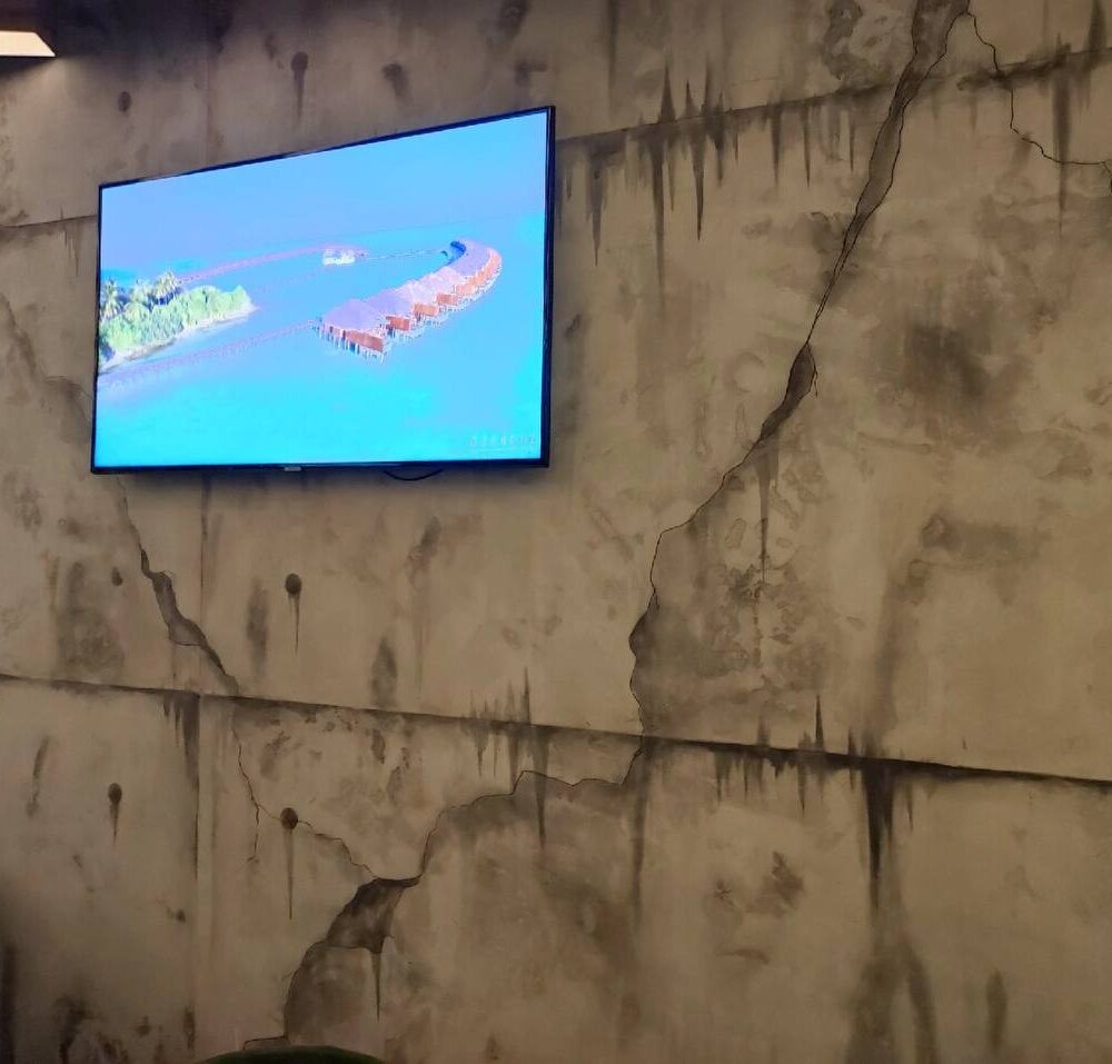 photo_2025-02-11_14-59-11